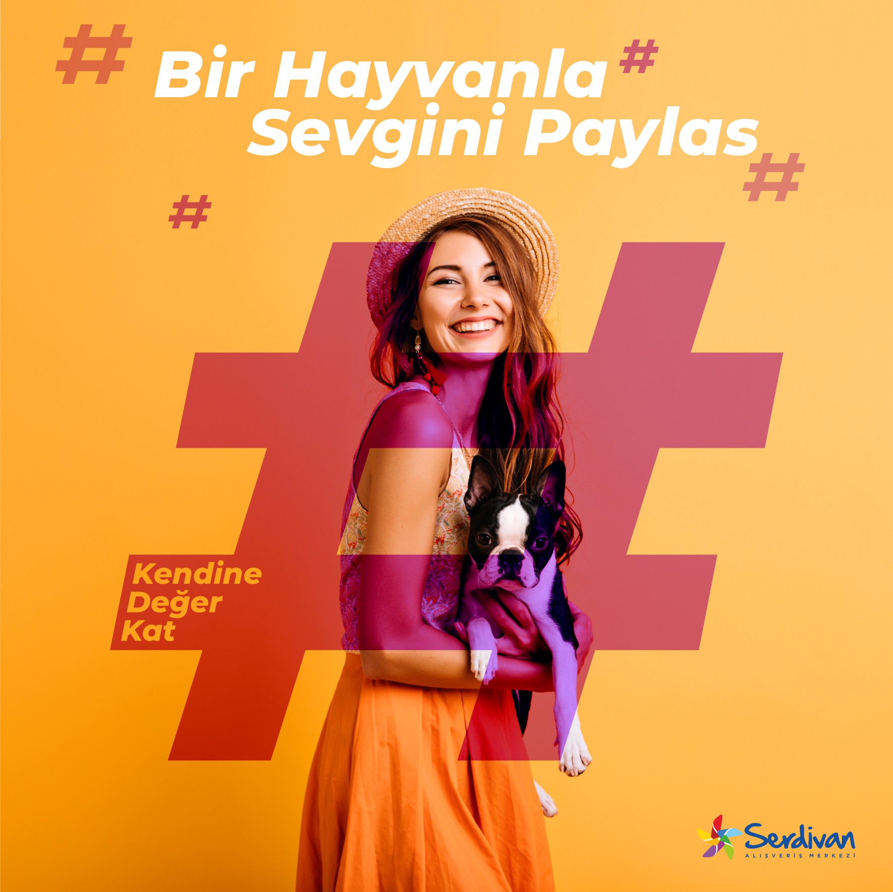 Serdivan AVM